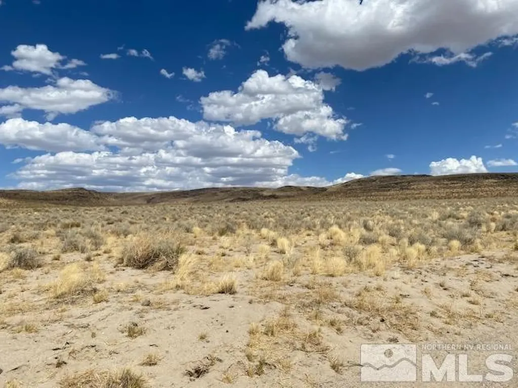 Apn 01565101 Silver Springs NV 89429