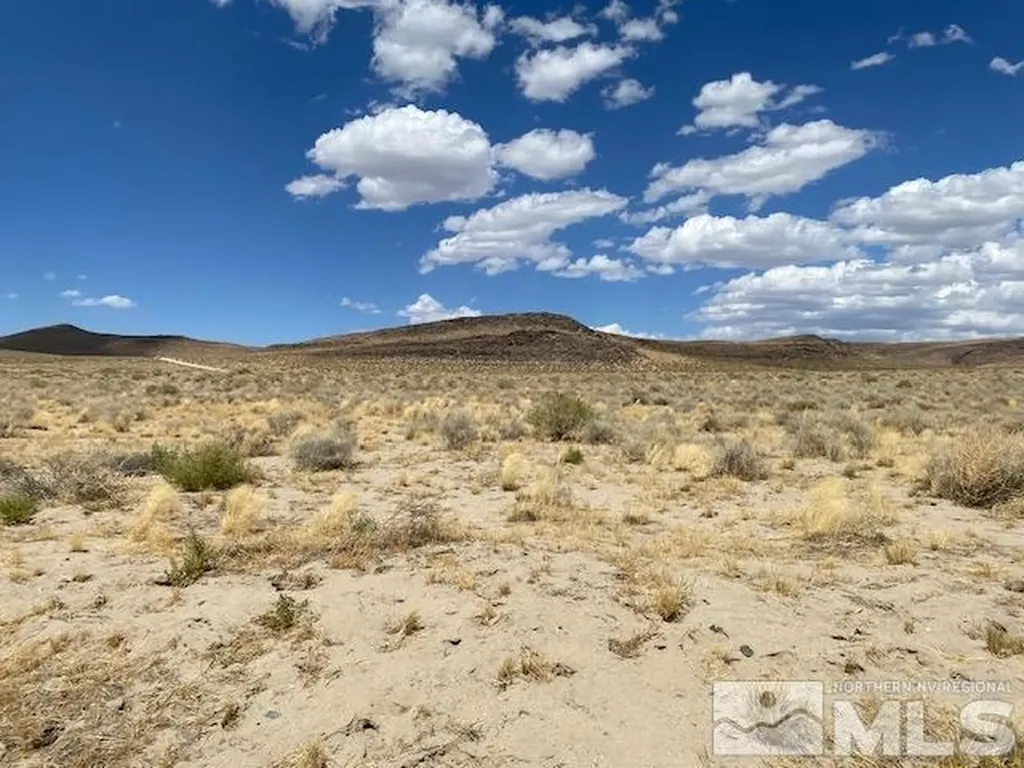 Apn 01565101 Silver Springs NV 89429
