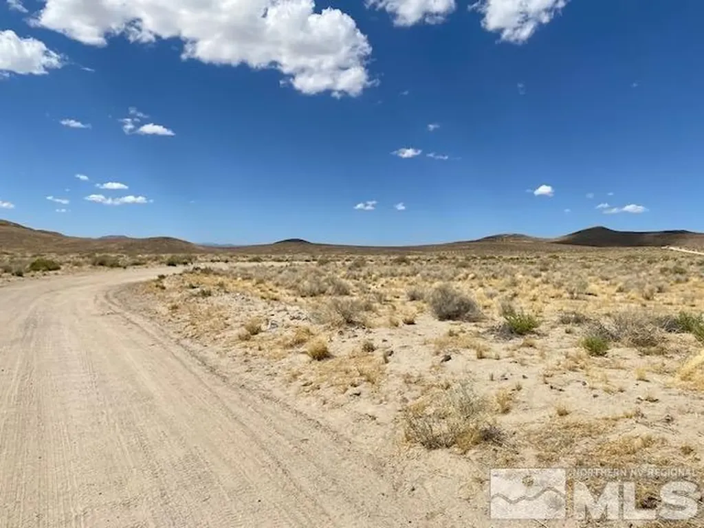 Apn 01565101 Silver Springs NV 89429