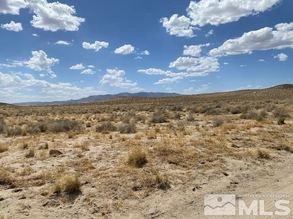 Apn 01565101 Silver Springs NV 89429