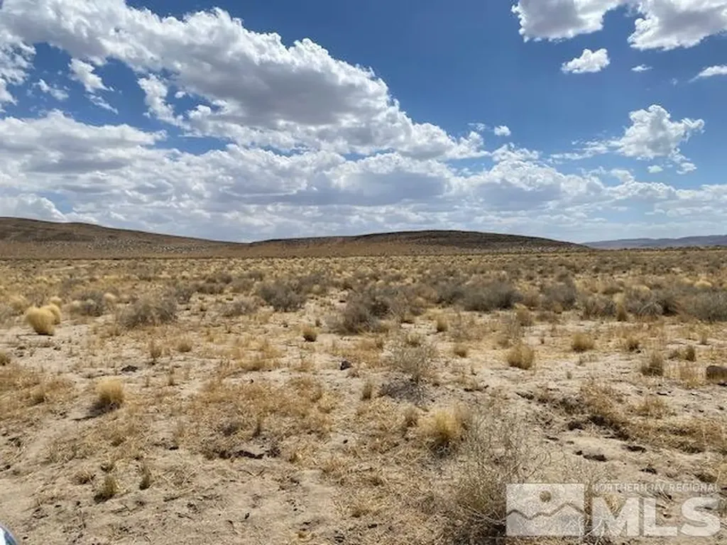 Apn 01565101 Silver Springs NV 89429