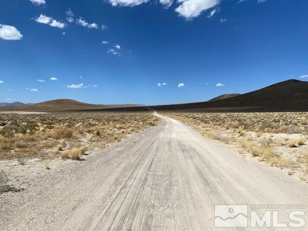 Apn 01565101 Silver Springs NV 89429