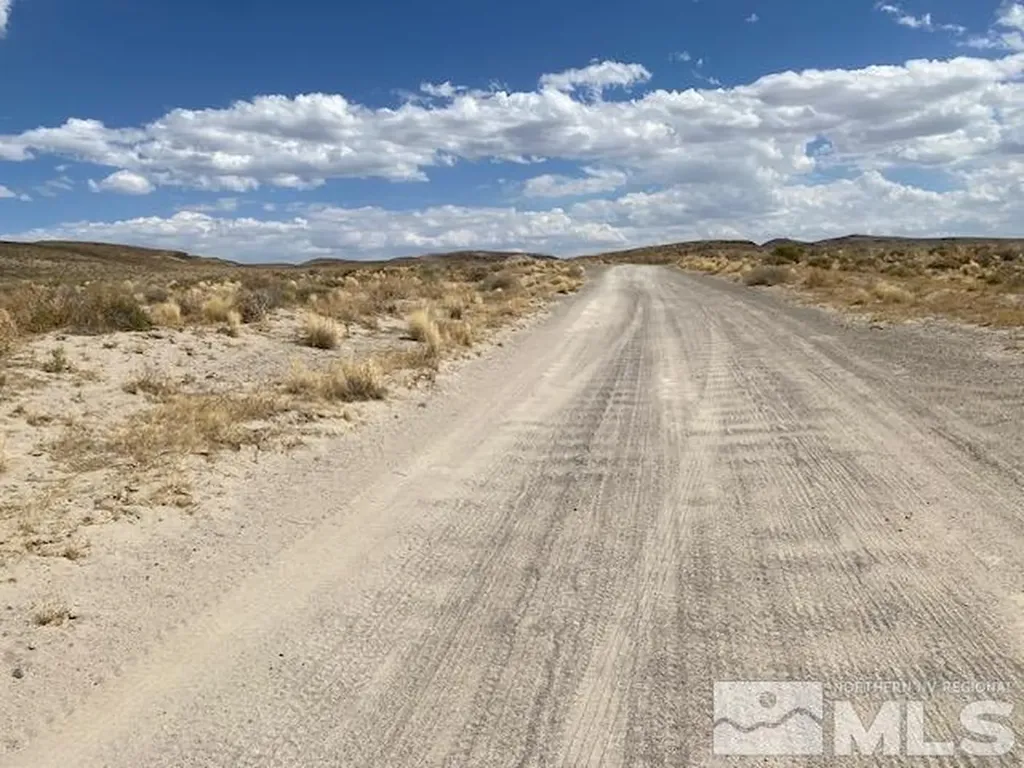 Apn 01565101 Silver Springs NV 89429