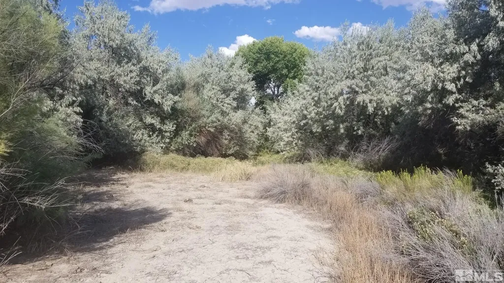 200 Raymond Lovelock NV 89419