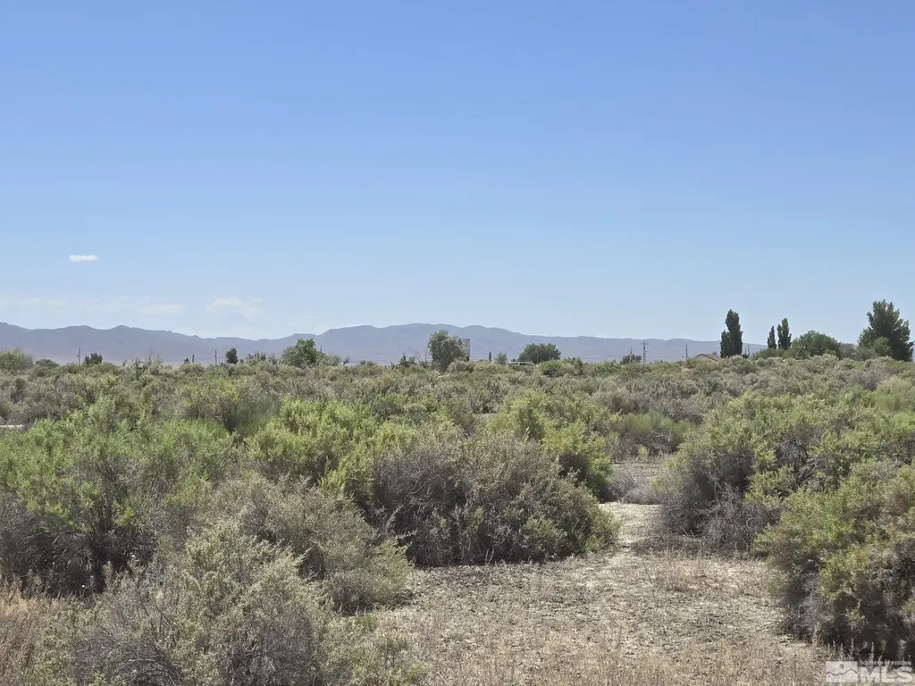 200 Raymond Lovelock NV 89419
