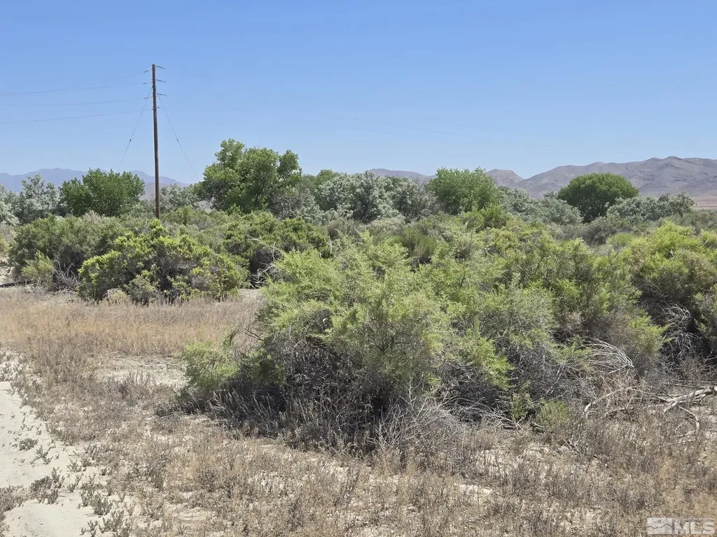 200 Raymond Lovelock NV 89419
