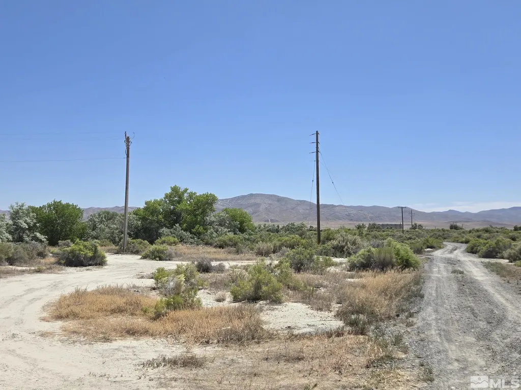 200 Raymond Lovelock NV 89419