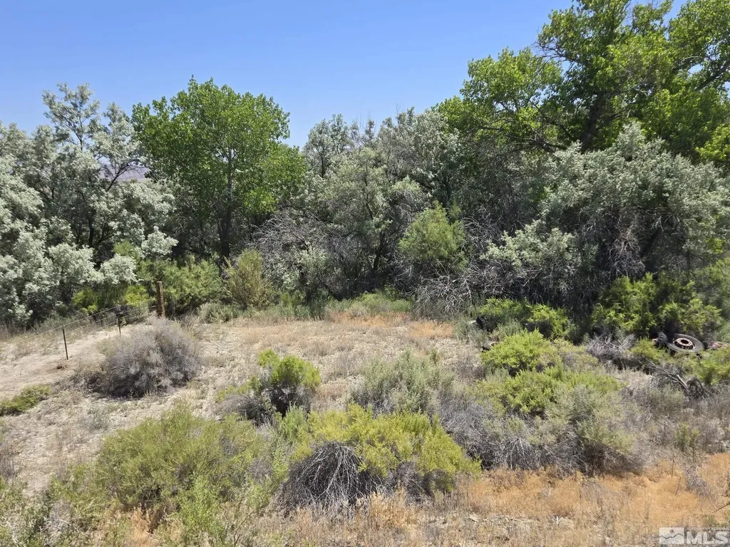 200 Raymond Lovelock NV 89419