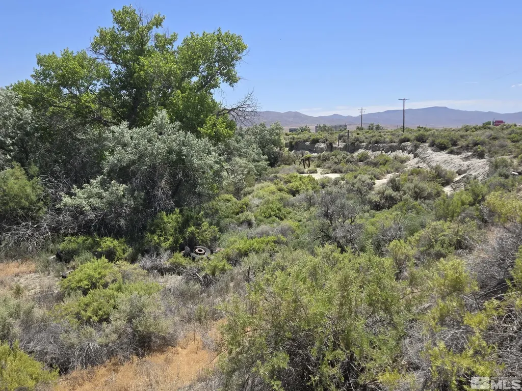 200 Raymond Lovelock NV 89419
