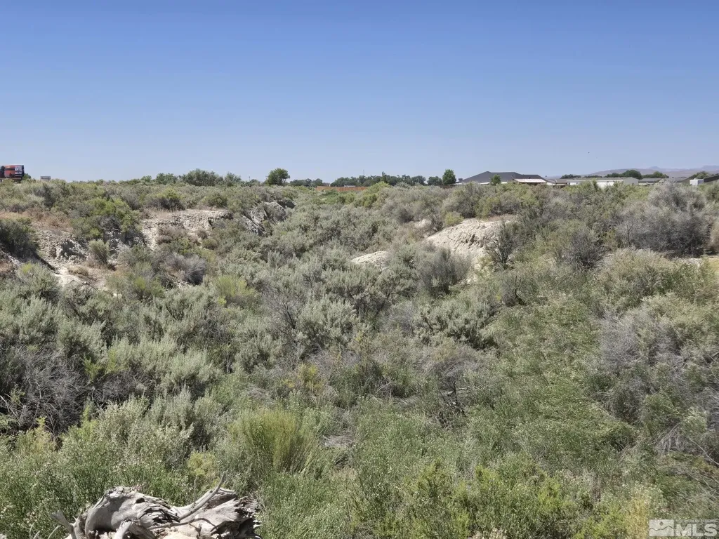 200 Raymond Lovelock NV 89419