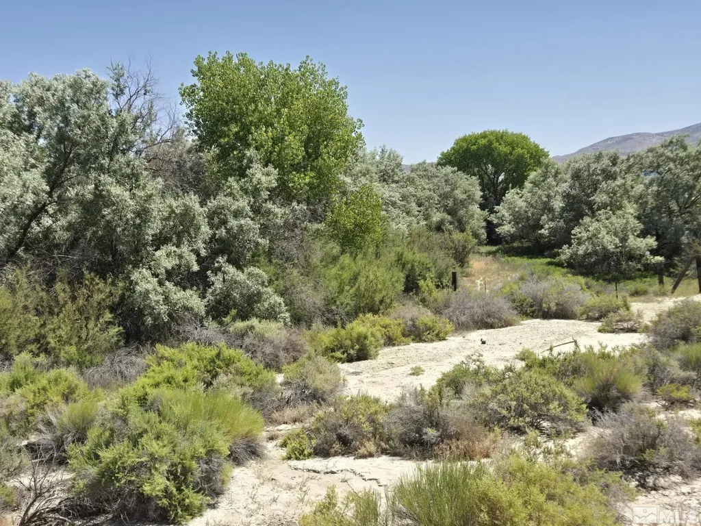 200 Raymond Lovelock NV 89419