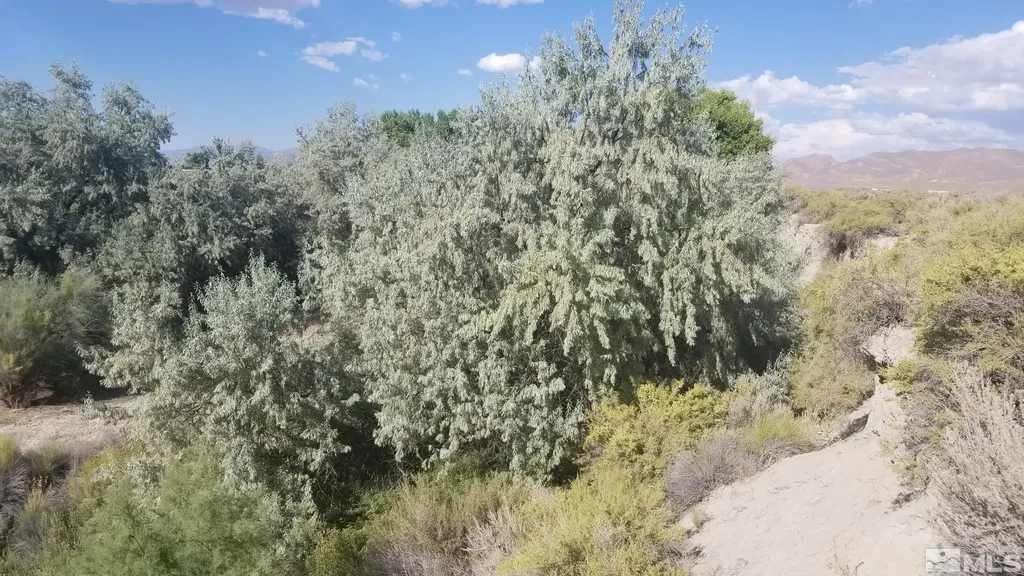 200 Raymond Lovelock NV 89419