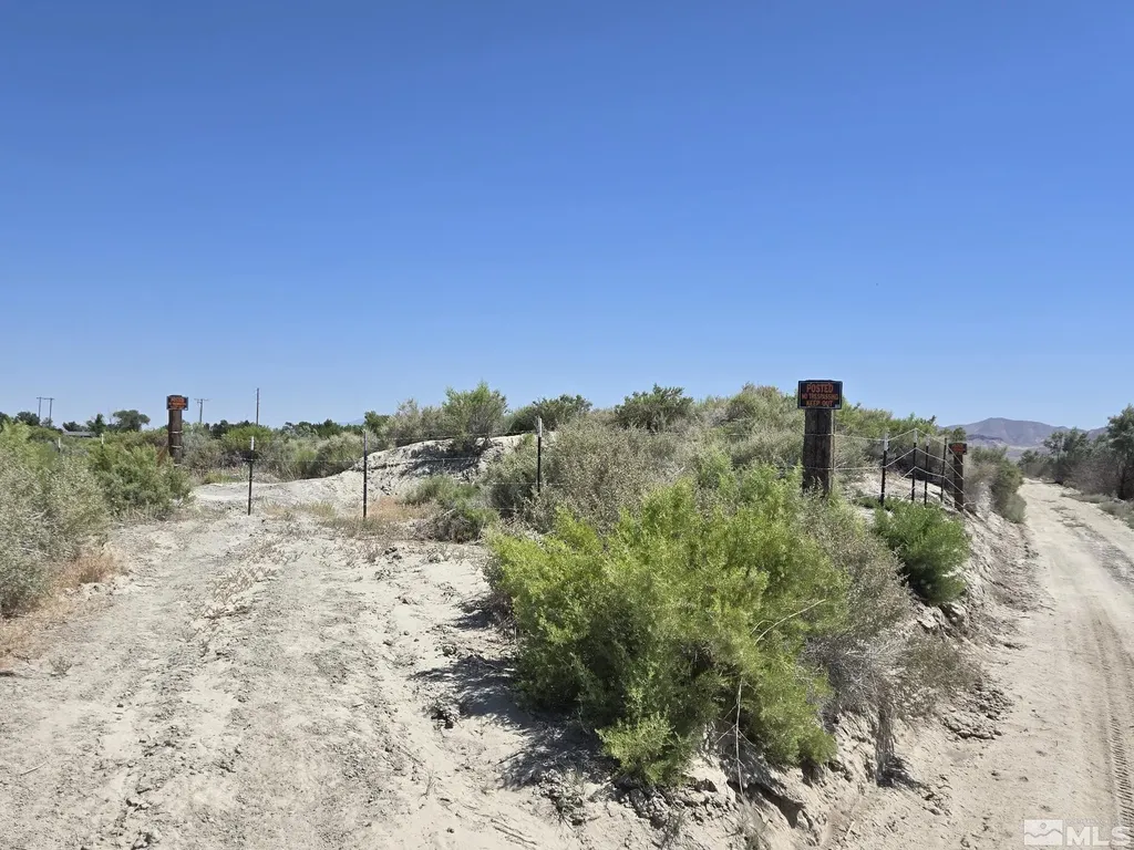 200 Raymond Lovelock NV 89419