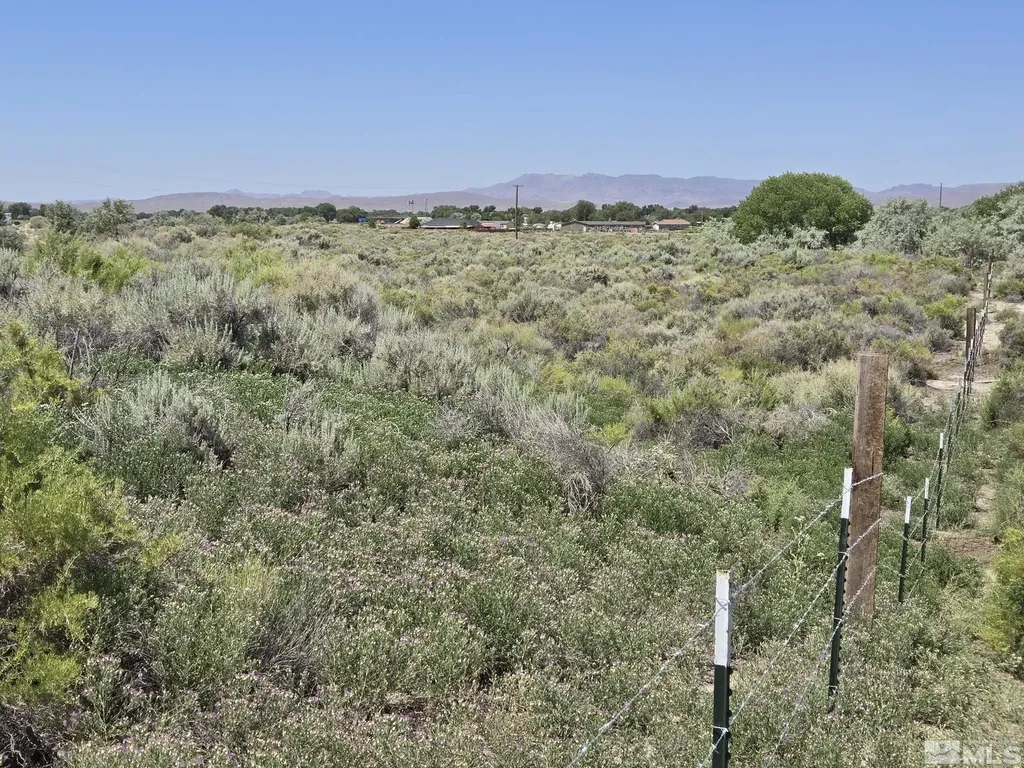 200 Raymond Lovelock NV 89419