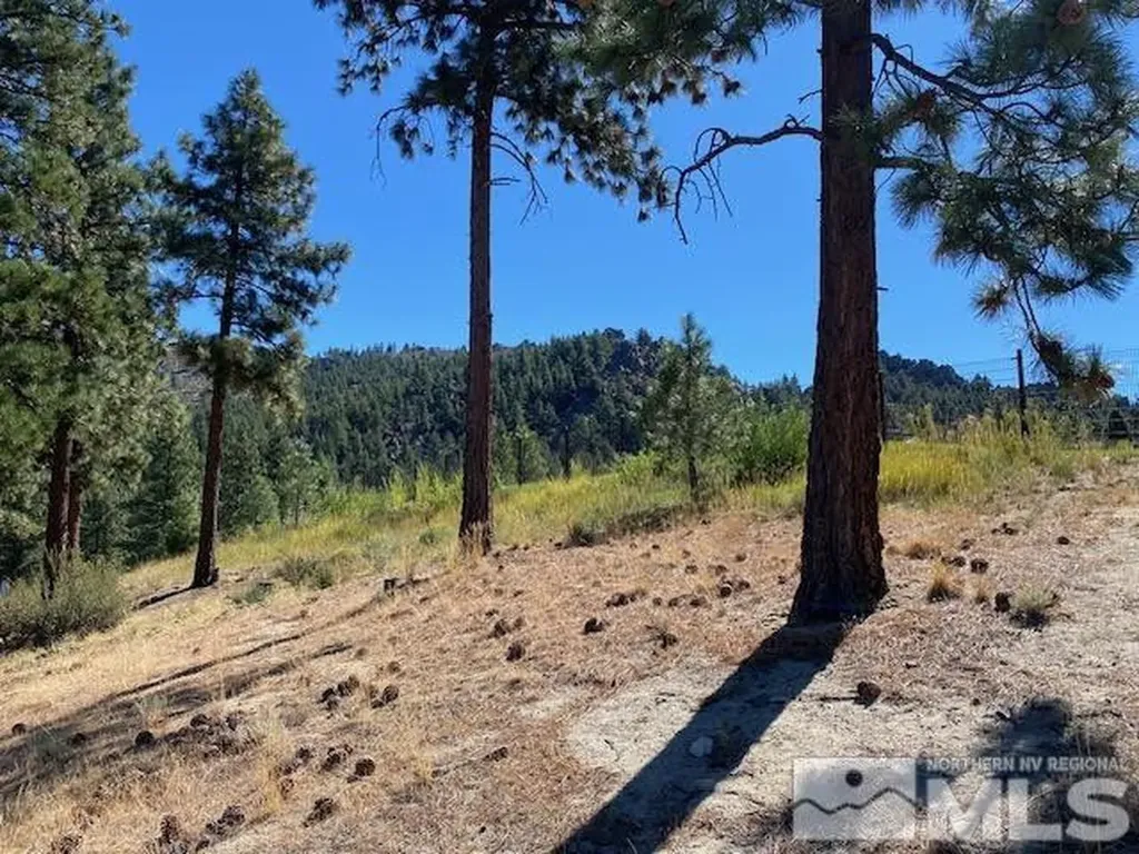 307 Senecas Carson City NV 89705