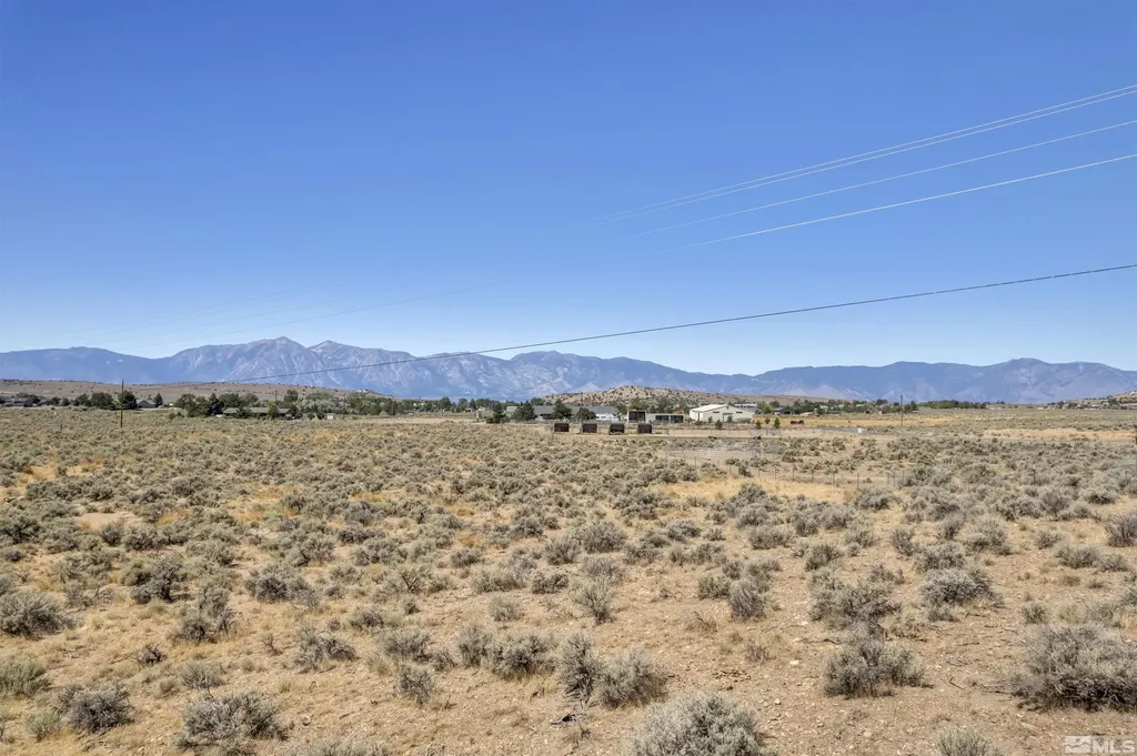 1372 Oreana Peak Gardnerville NV 89410
