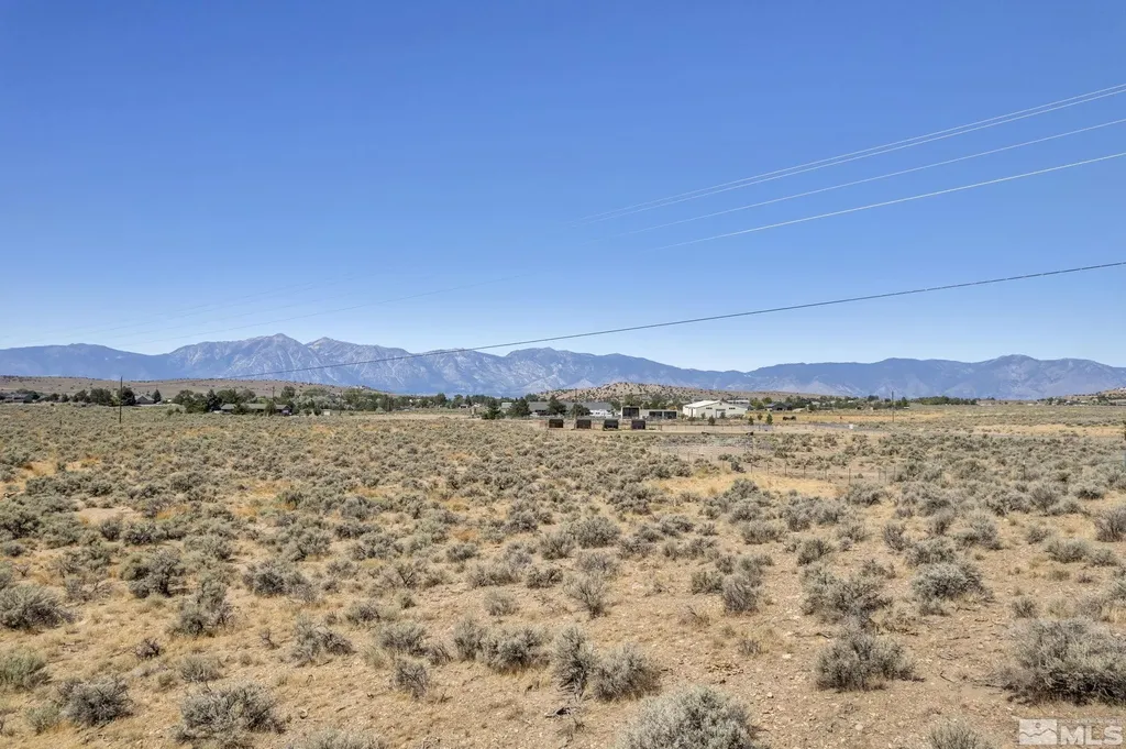 1372 Oreana Peak Gardnerville NV 89410