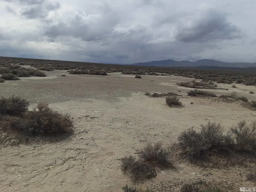 Apn 07420133 Reno NV 89510