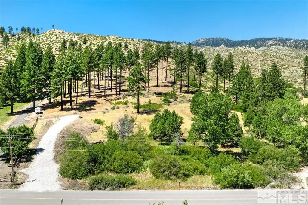 5559 Franktown Washoe Valley NV 89704