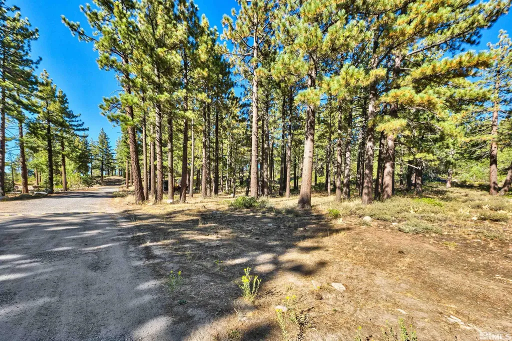0 Mountain Haven Reno NV 89511