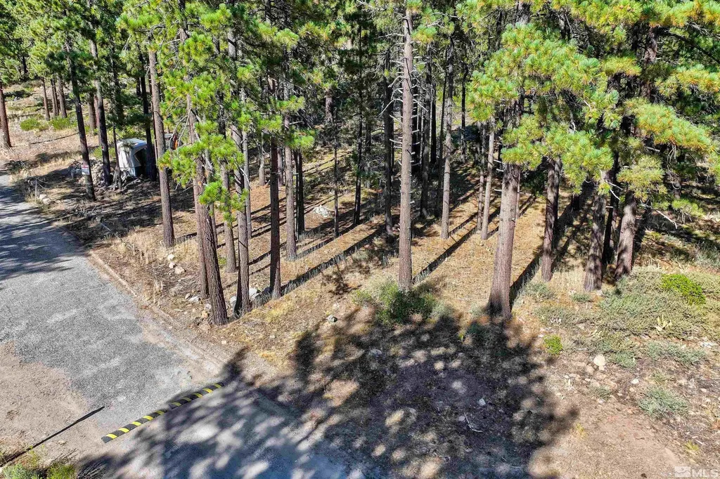 0 Mountain Haven Reno NV 89511