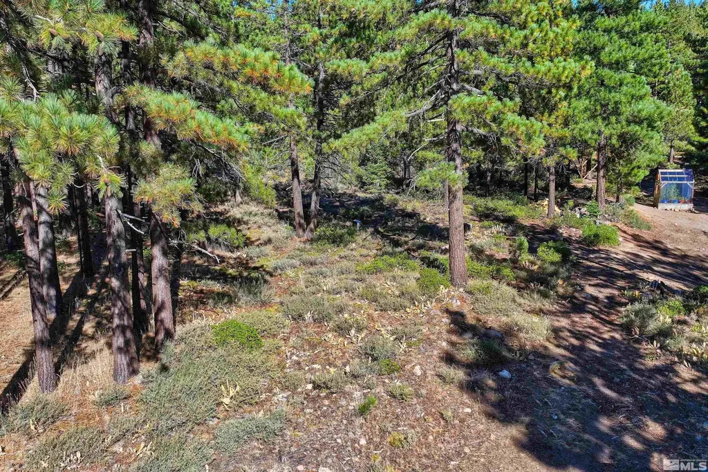 0 Mountain Haven Reno NV 89511