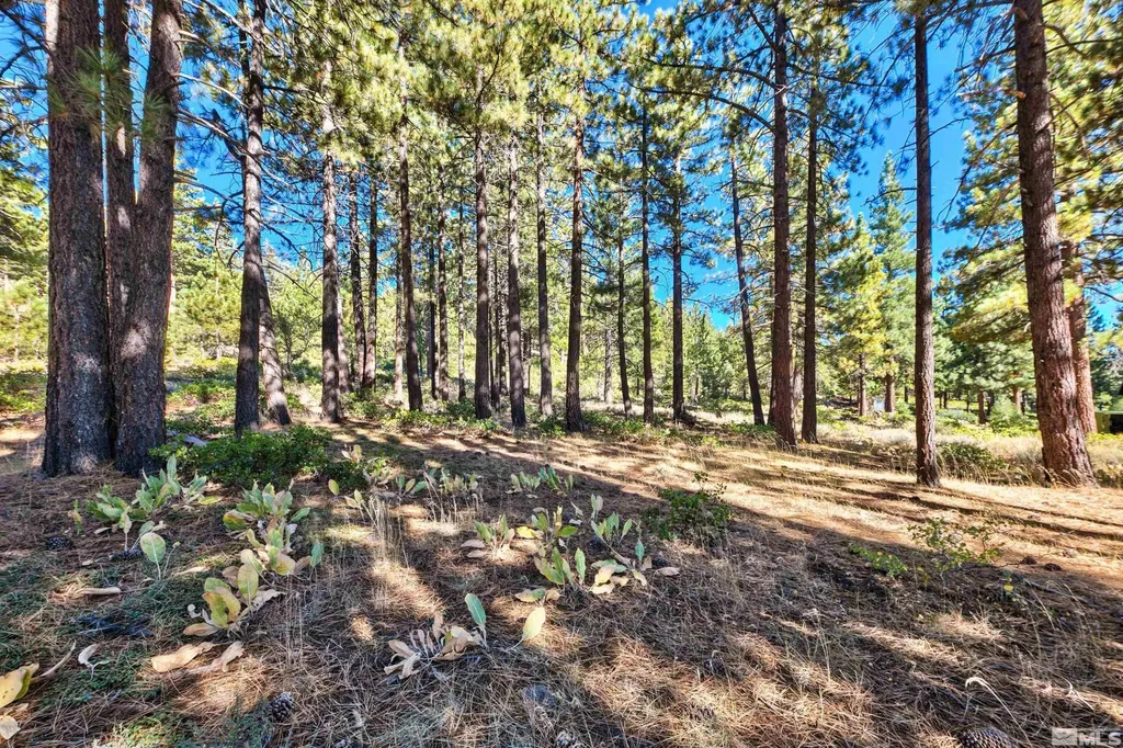 0 Mountain Haven Reno NV 89511