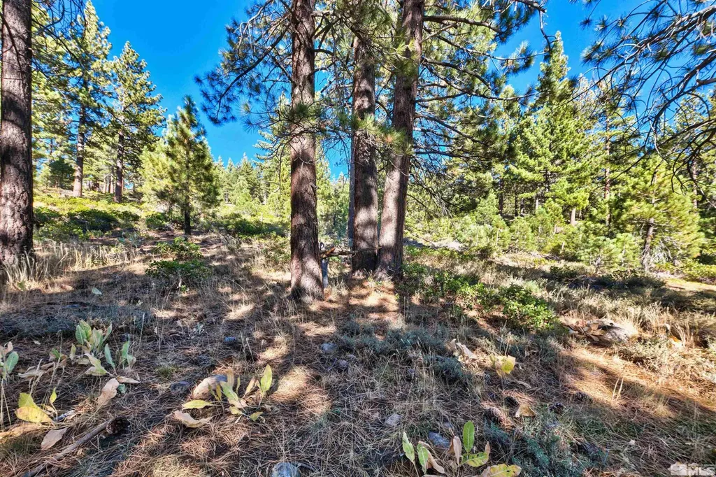 0 Mountain Haven Reno NV 89511