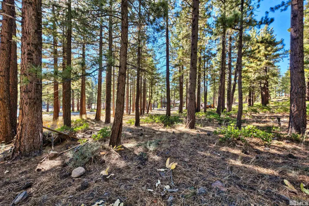0 Mountain Haven Reno NV 89511