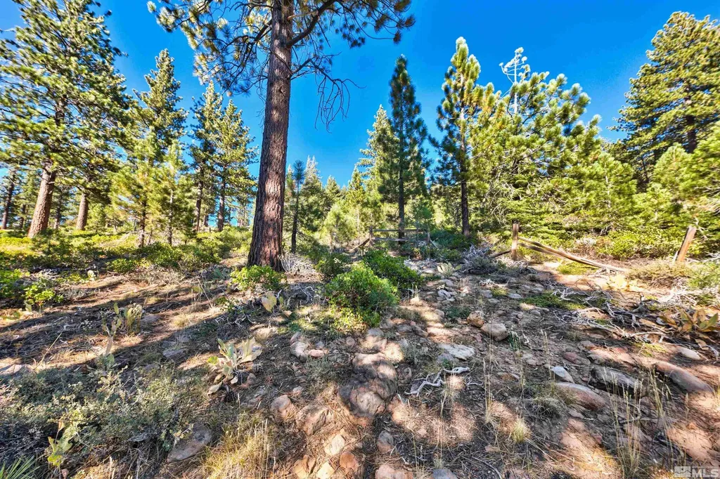 0 Mountain Haven Reno NV 89511