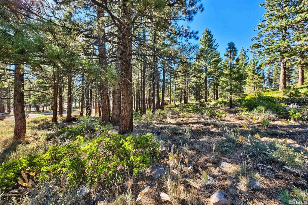 0 Mountain Haven Reno NV 89511