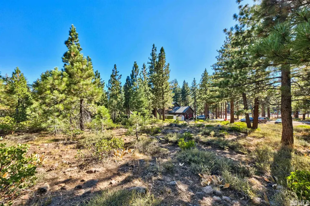 0 Mountain Haven Reno NV 89511