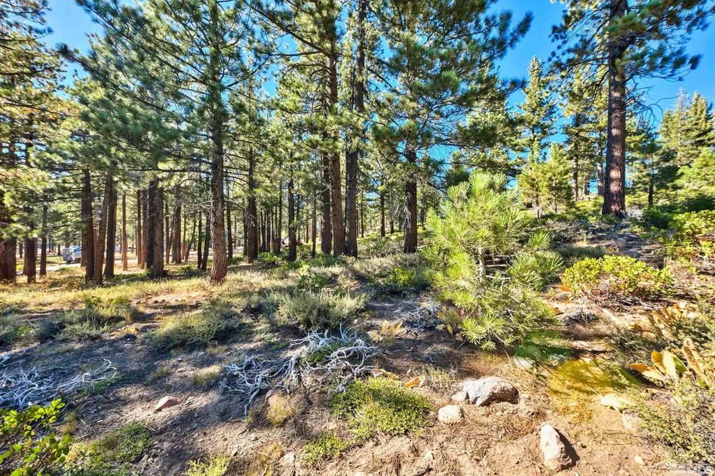 0 Mountain Haven Reno NV 89511