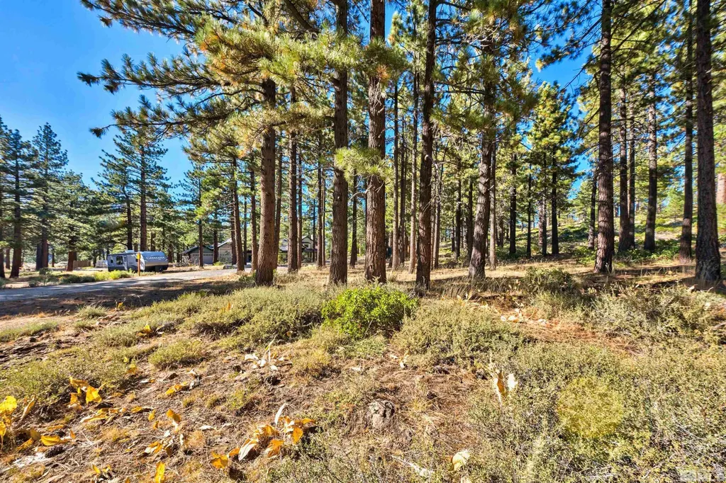 0 Mountain Haven Reno NV 89511