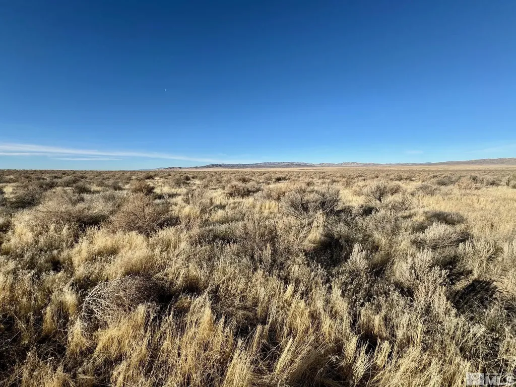 21865 Chimney Creek Lovelock NV 89419