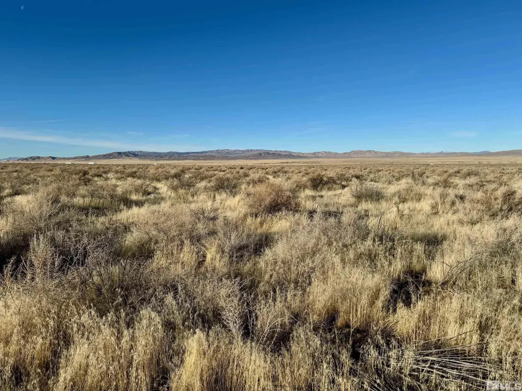 21865 Chimney Creek Lovelock NV 89419
