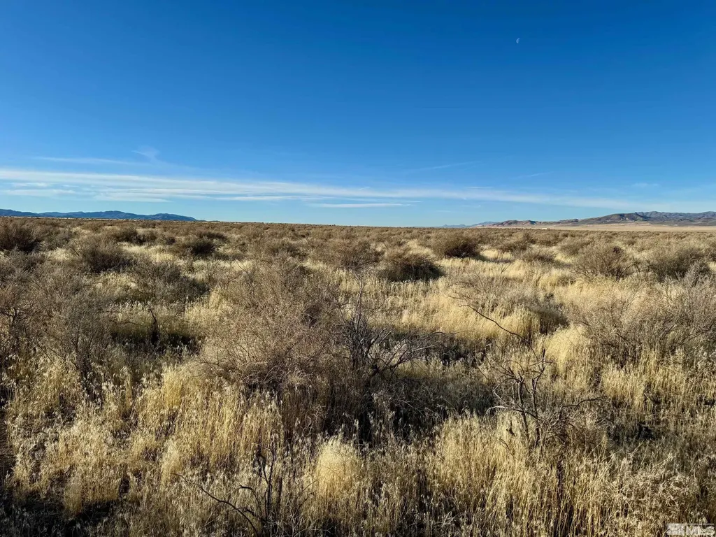 21865 Chimney Creek Lovelock NV 89419