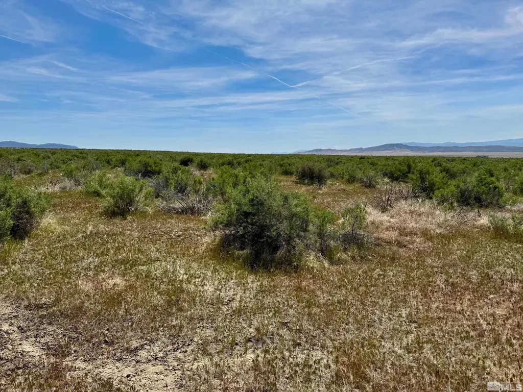 21865 Chimney Creek Lovelock NV 89419