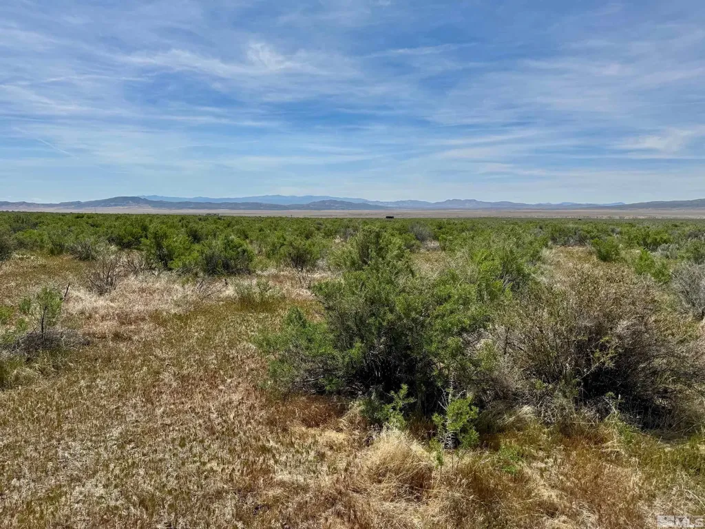 21865 Chimney Creek Lovelock NV 89419