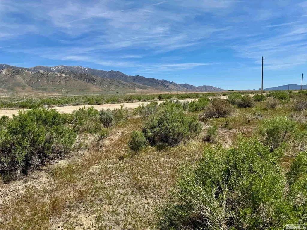 21865 Chimney Creek Lovelock NV 89419