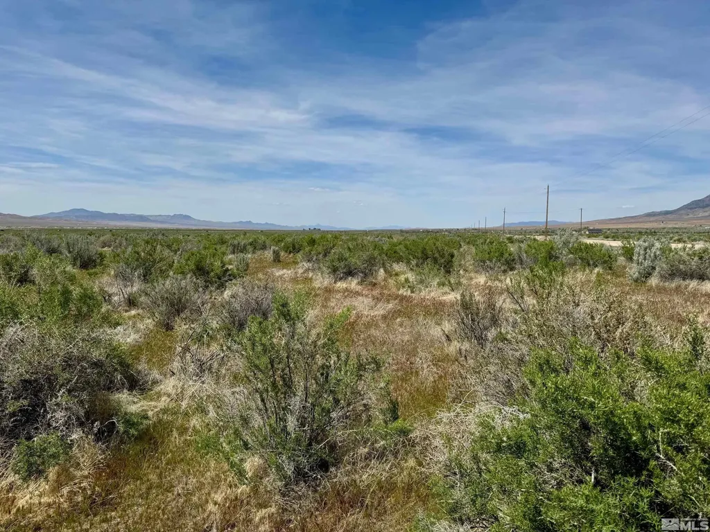 21865 Chimney Creek Lovelock NV 89419