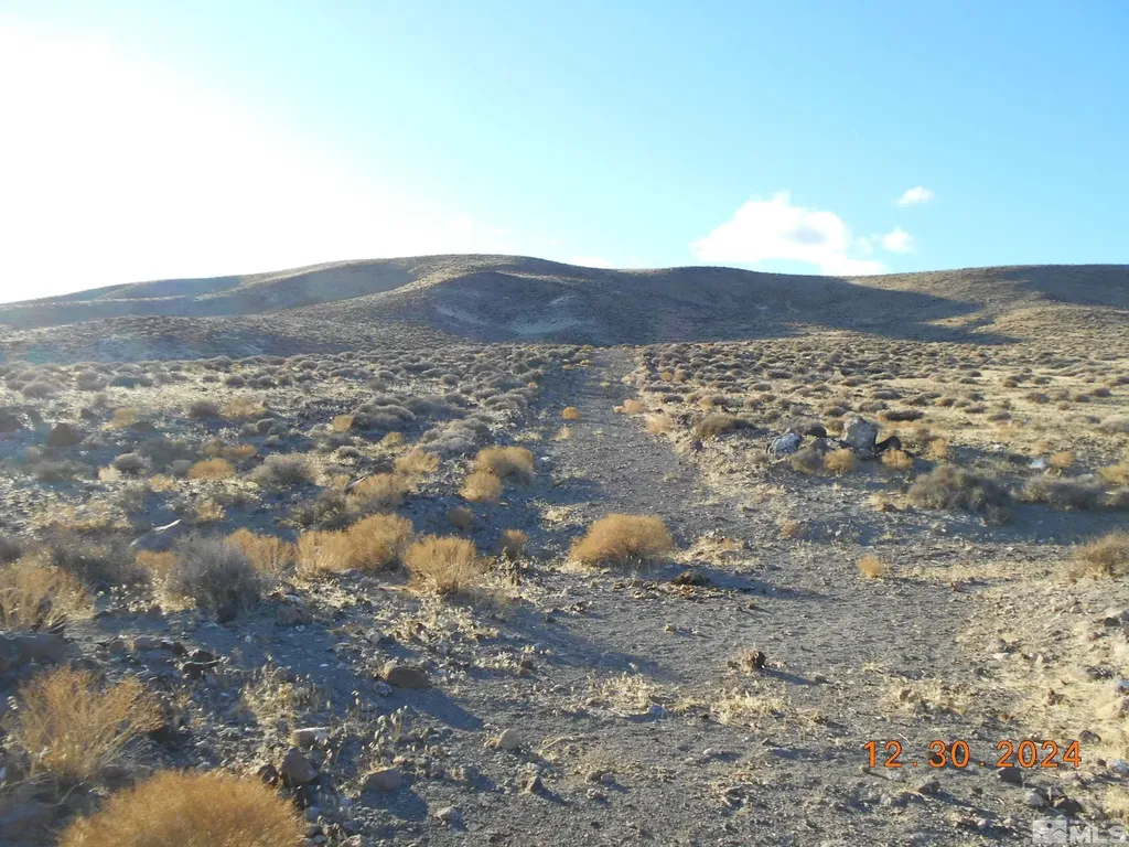 01512108 Off Of Onyx Silver Springs NV 89429