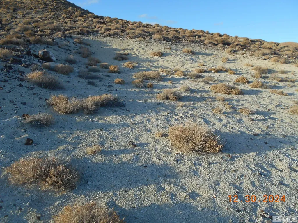 01512108 Off Of Onyx Silver Springs NV 89429