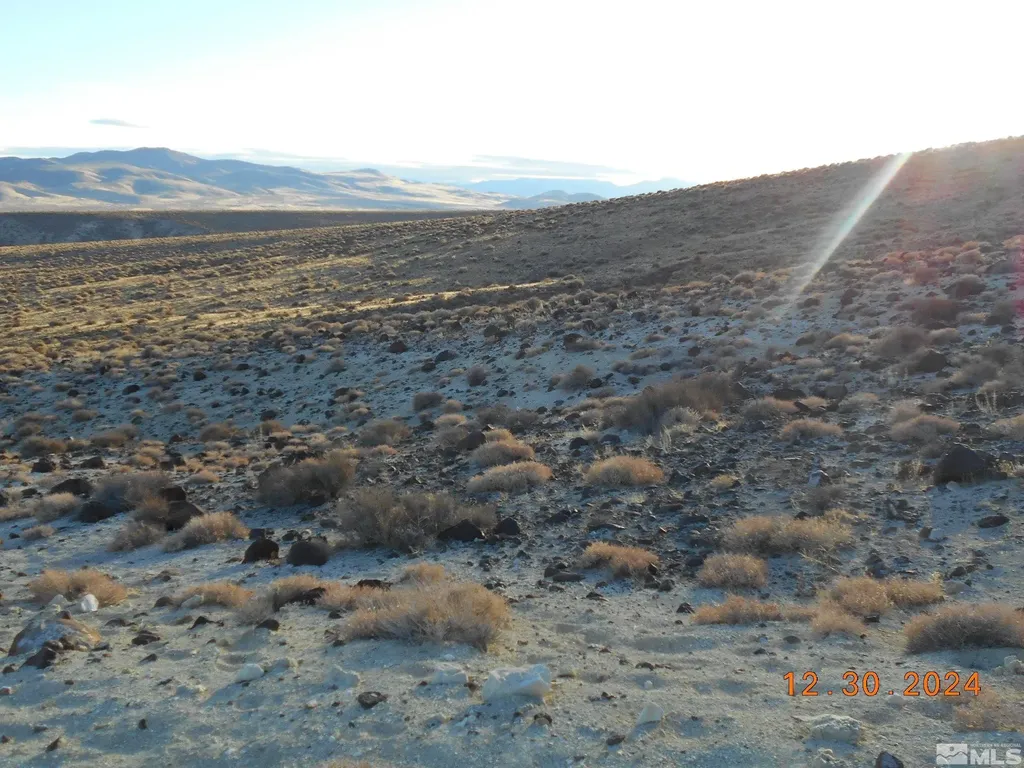 01512108 Off Of Onyx Silver Springs NV 89429