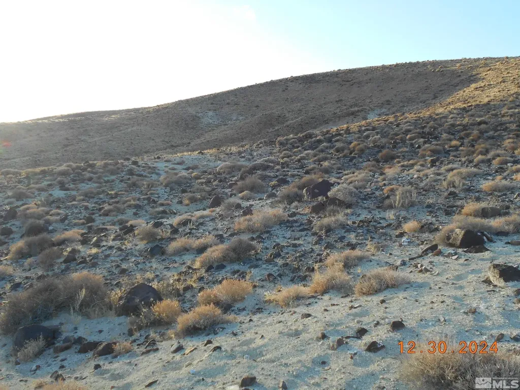 01512108 Off Of Onyx Silver Springs NV 89429