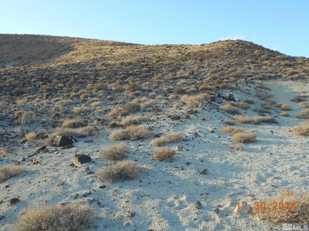 01512108 Off Of Onyx Silver Springs NV 89429