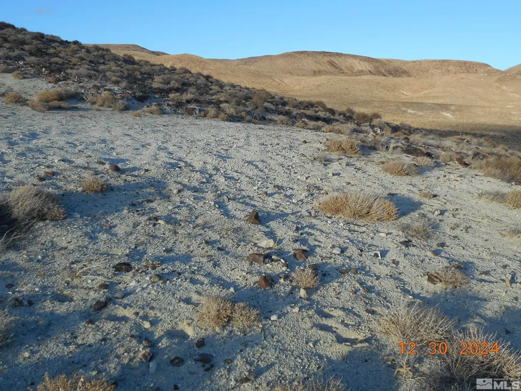 01512108 Off Of Onyx Silver Springs NV 89429