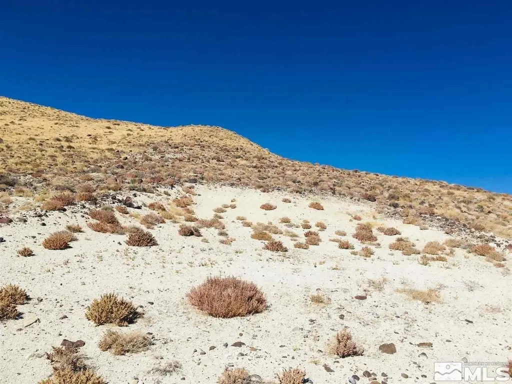 01512108 Off Of Onyx Silver Springs NV 89429