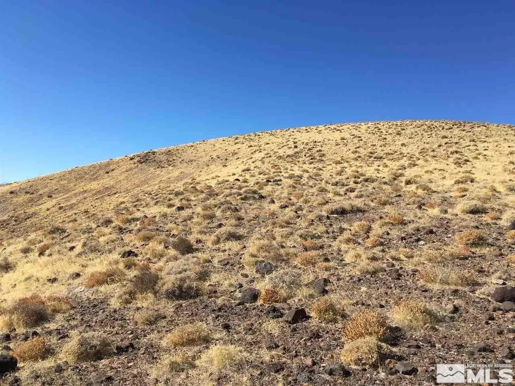 01512108 Off Of Onyx Silver Springs NV 89429