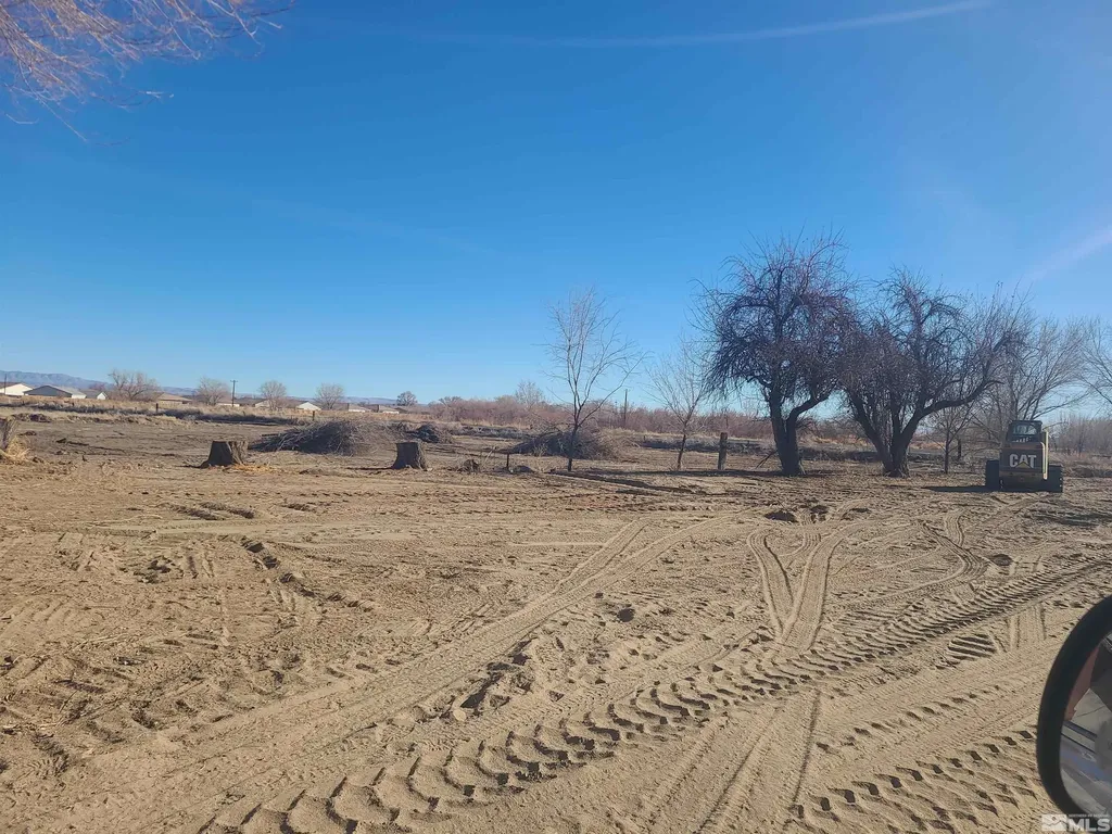 1755 Coleman Fallon NV 89406